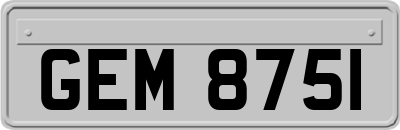 GEM8751