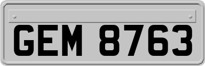 GEM8763