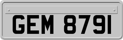 GEM8791