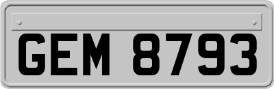 GEM8793