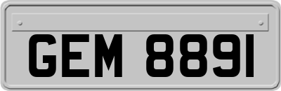 GEM8891