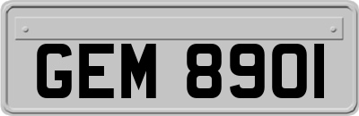 GEM8901