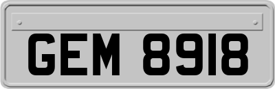 GEM8918