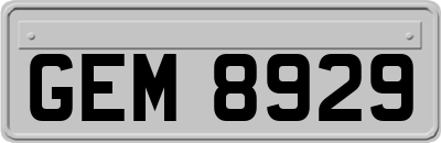 GEM8929