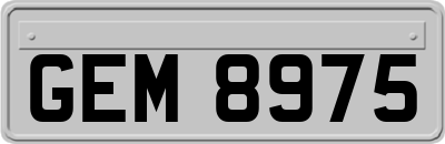 GEM8975