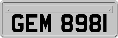 GEM8981