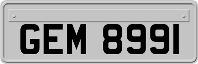 GEM8991
