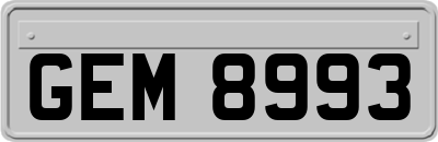 GEM8993