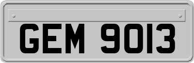 GEM9013