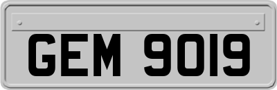 GEM9019
