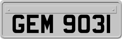 GEM9031