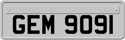 GEM9091