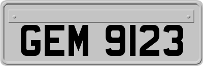 GEM9123