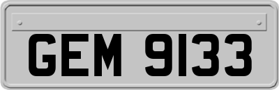 GEM9133