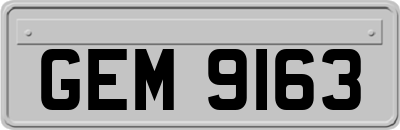 GEM9163