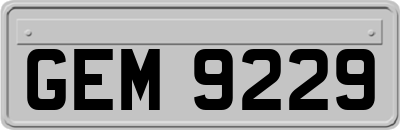 GEM9229