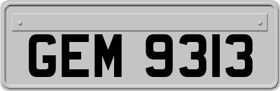 GEM9313