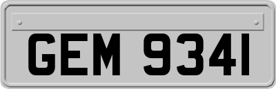 GEM9341