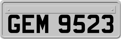 GEM9523