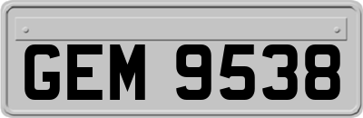 GEM9538