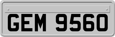 GEM9560