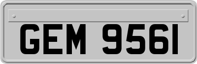 GEM9561