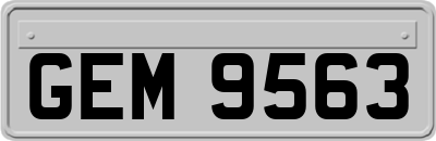 GEM9563