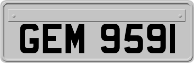 GEM9591