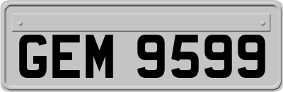 GEM9599
