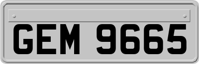 GEM9665