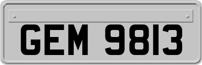 GEM9813