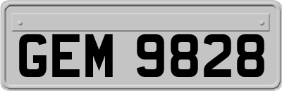GEM9828