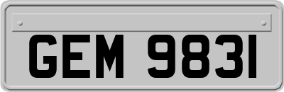 GEM9831