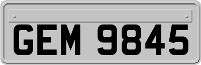 GEM9845