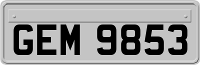 GEM9853