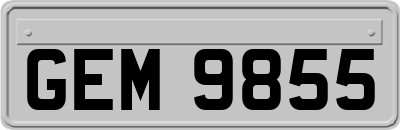 GEM9855