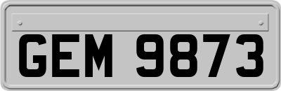 GEM9873