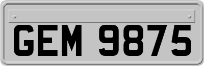 GEM9875