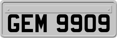 GEM9909