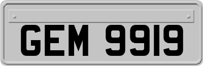 GEM9919