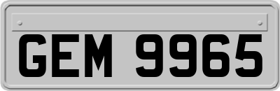 GEM9965