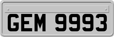GEM9993