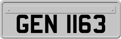GEN1163