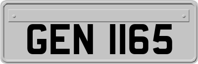 GEN1165