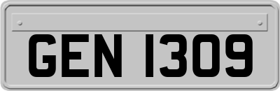 GEN1309