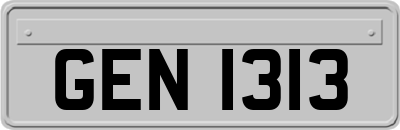 GEN1313