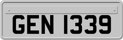 GEN1339