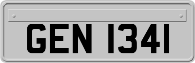 GEN1341