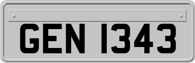 GEN1343