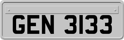GEN3133